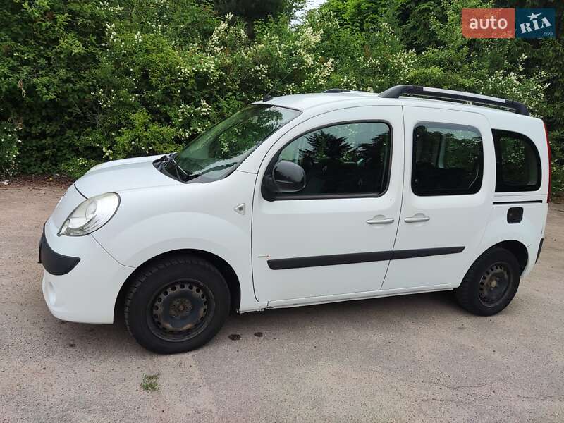 Мінівен Renault Kangoo 2013 в Житомирі