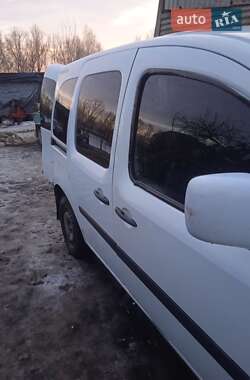 Минивэн Renault Kangoo 2008 в Старой Синяве