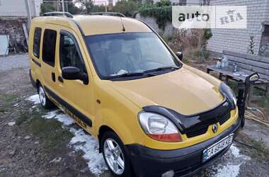 Минивэн Renault Kangoo 2004 в Светловодске