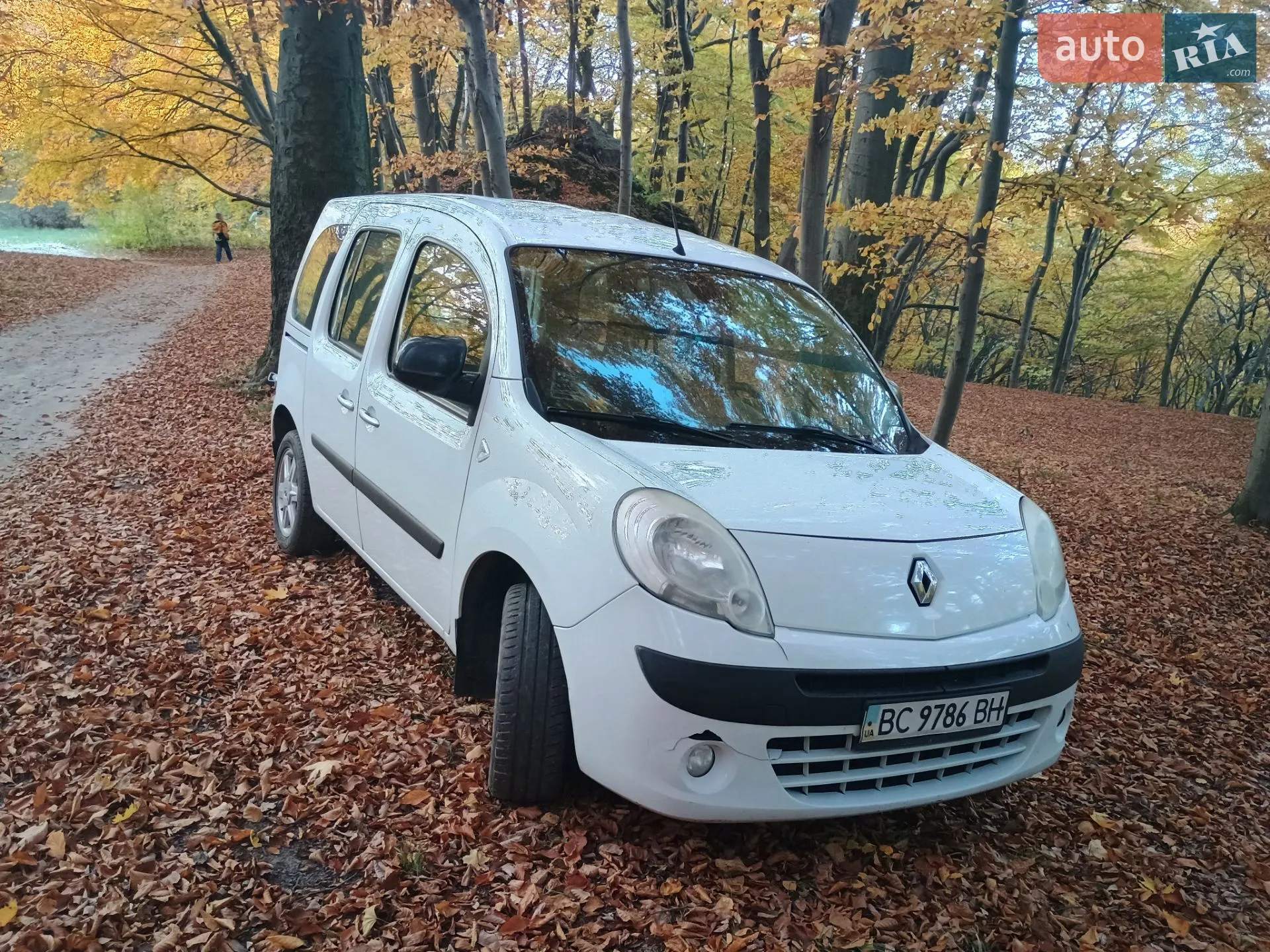 2013 Renault Kangoo - мініатюра 23