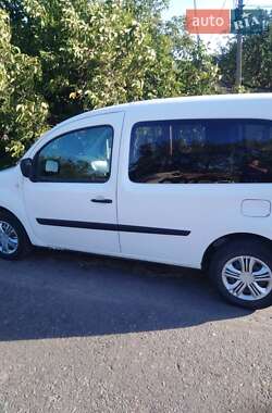 Мінівен Renault Kangoo 2008 в Жашківу