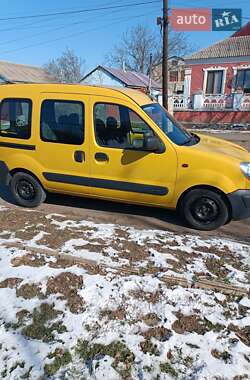 Минивэн Renault Kangoo 2004 в Вознесенске