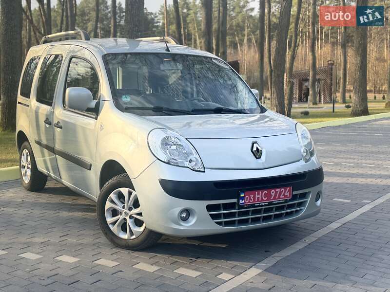 Минивэн Renault Kangoo 2009 в Шепетовке