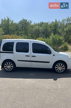 Минивэн Renault Kangoo 2009 в 