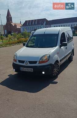 Мінівен Renault Kangoo 2003 в Житомирі
