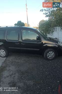 Минивэн Renault Kangoo 2009 в 