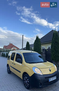 Минивэн Renault Kangoo 2008 в 