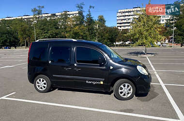 Минивэн Renault Kangoo 2009 в 