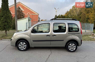 Минивэн Renault Kangoo 2009 в 