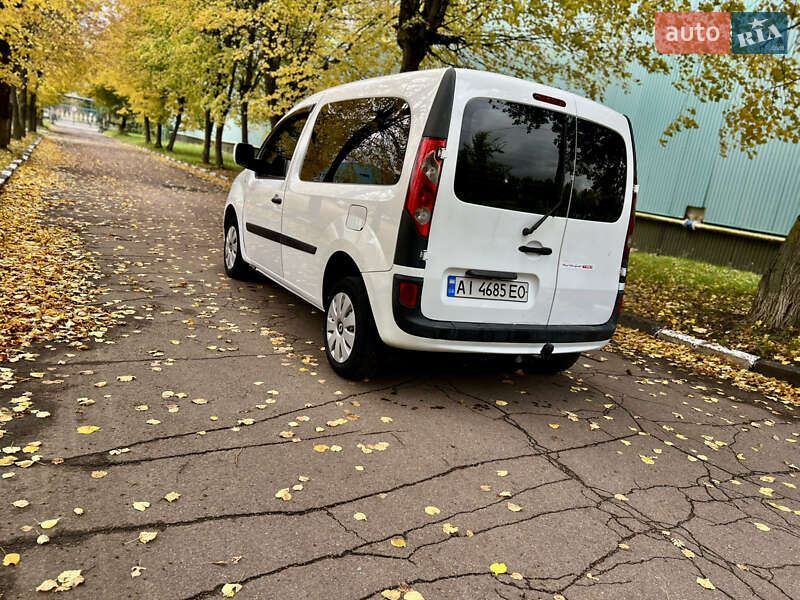 Мінівен Renault Kangoo 2008 в Житомирі