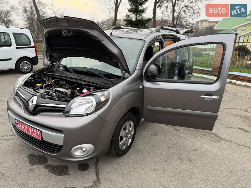 Минивэн Renault Kangoo 2018 в Днепре фото 112 Минивэн Renault Kangoo 2018 в Днепре