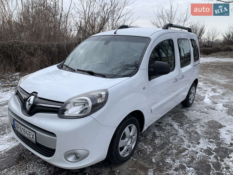 Минивэн Renault Kangoo 2014 в Запорожье фото 9 Минивэн Renault Kangoo 2014 в Запорожье