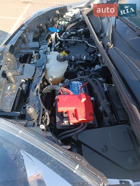 Минивэн Renault Kangoo 2020 в Дубно