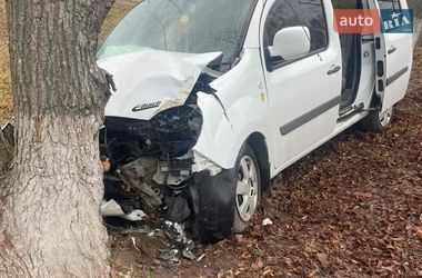 Минивэн Renault Kangoo 2009 в Фастове