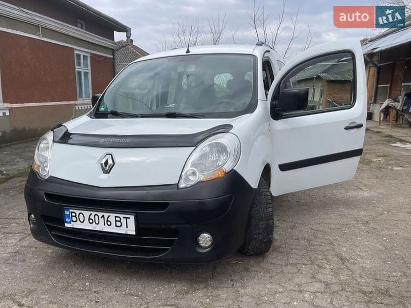 Renault Kangoo 2010