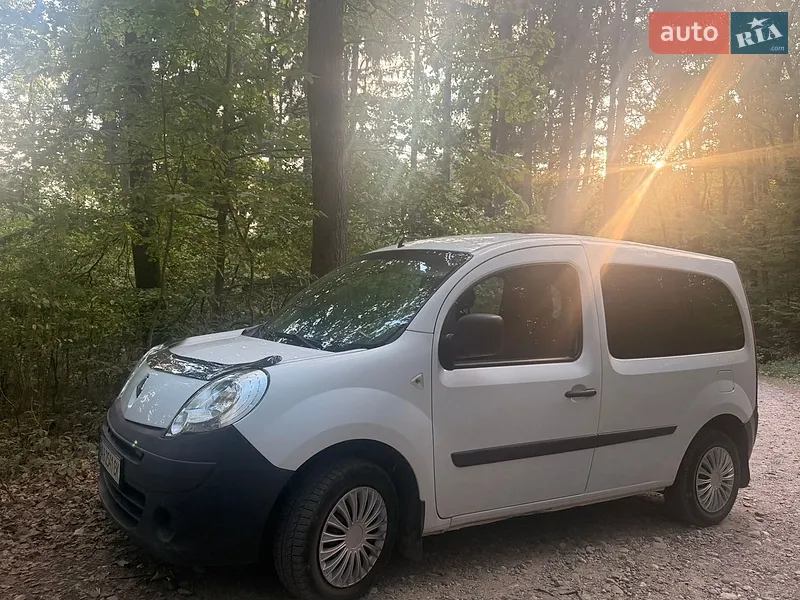 Renault Kangoo 2010