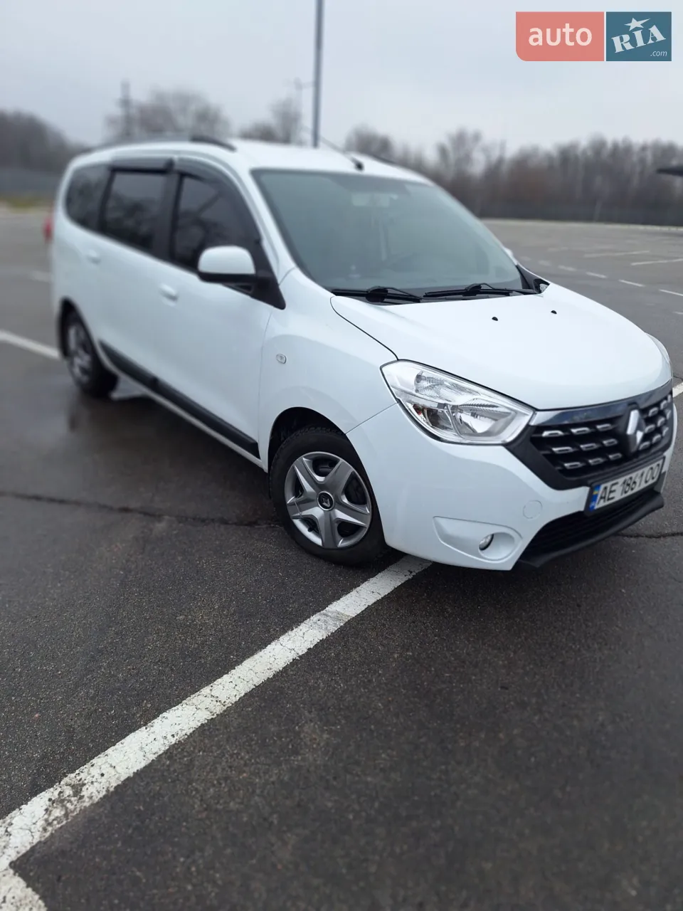 2017 Renault Lodgy - мініатюра 13