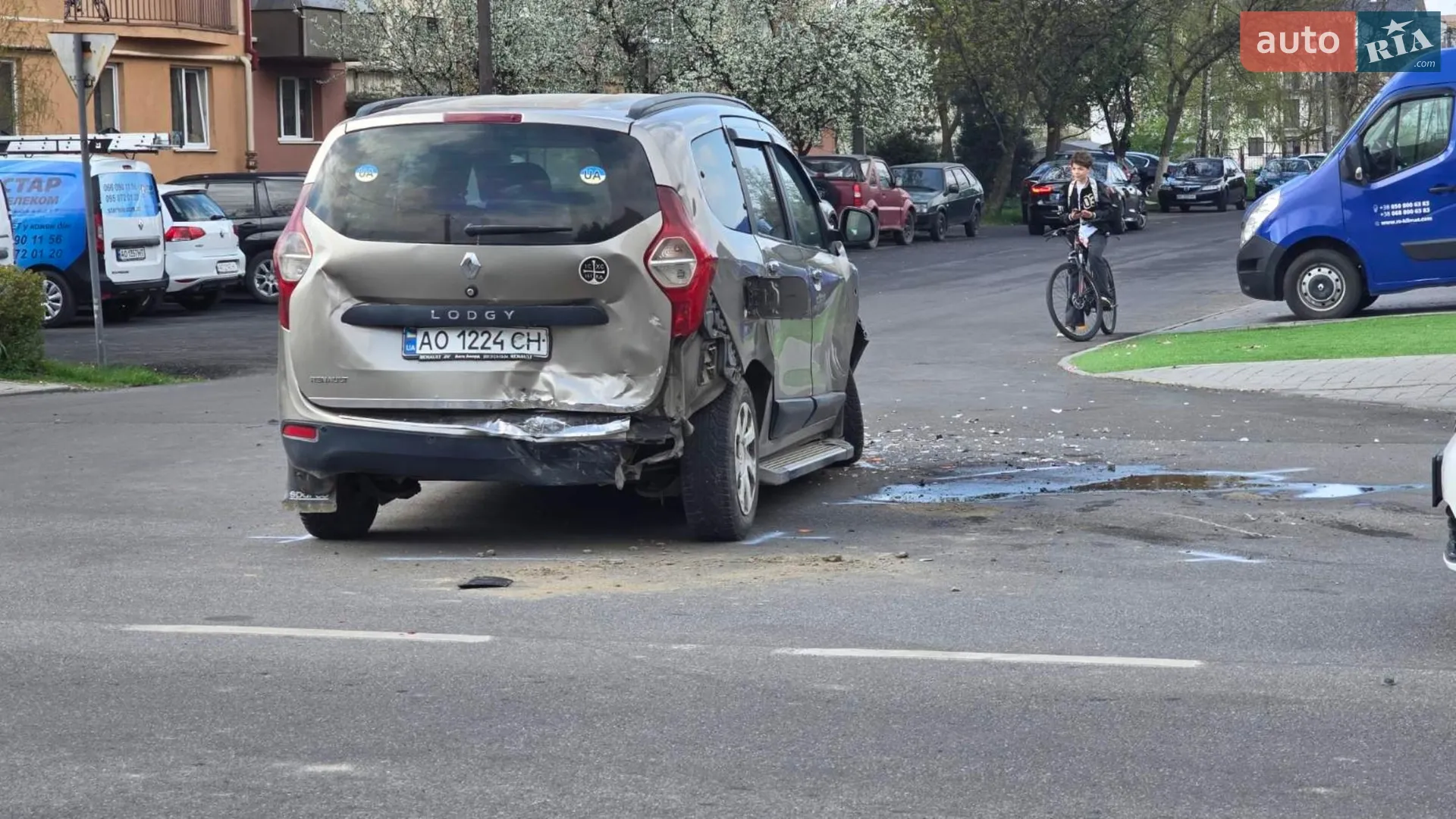 2015 Renault Lodgy - мініатюра 2