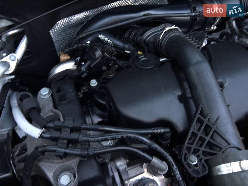 Универсал Renault Logan MCV 2019 в Умани фото 49 Универсал Renault Logan MCV 2019 в Умани