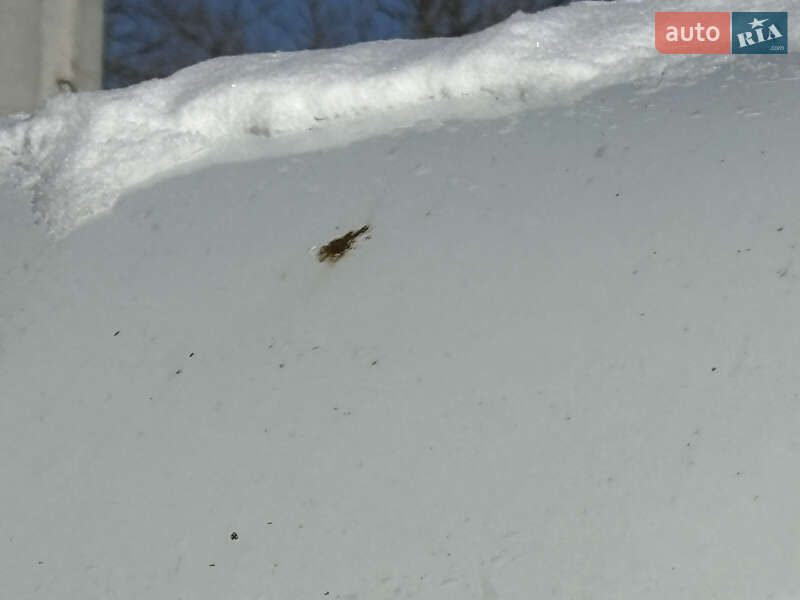 Минивэн Renault Master 2017 в Чернигове