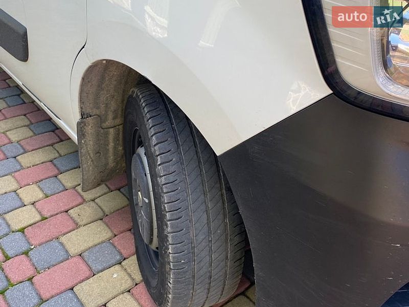 Микроавтобус Renault Master 2020 в Новом Роздоле
