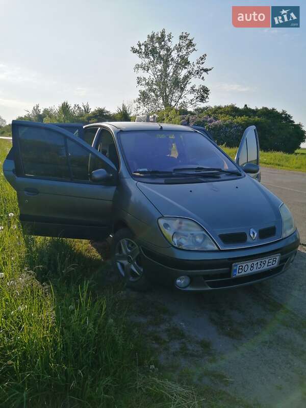 Минивэн Renault Megane Scenic 2001 в Подгайцах