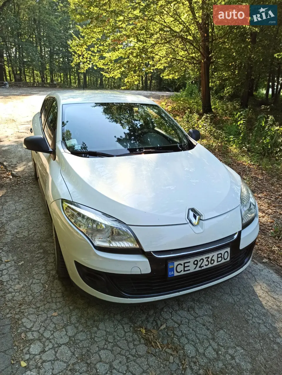 2013 Renault Megane - мініатюра 12