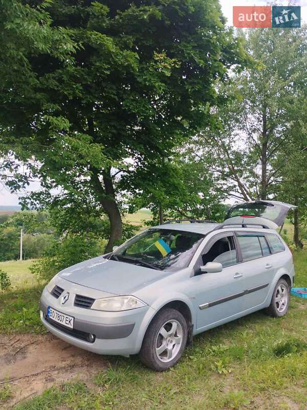 Хетчбек Renault Megane 2003 в Вишнівці фото 10 Хетчбек Renault Megane 2003 в Вишнівці