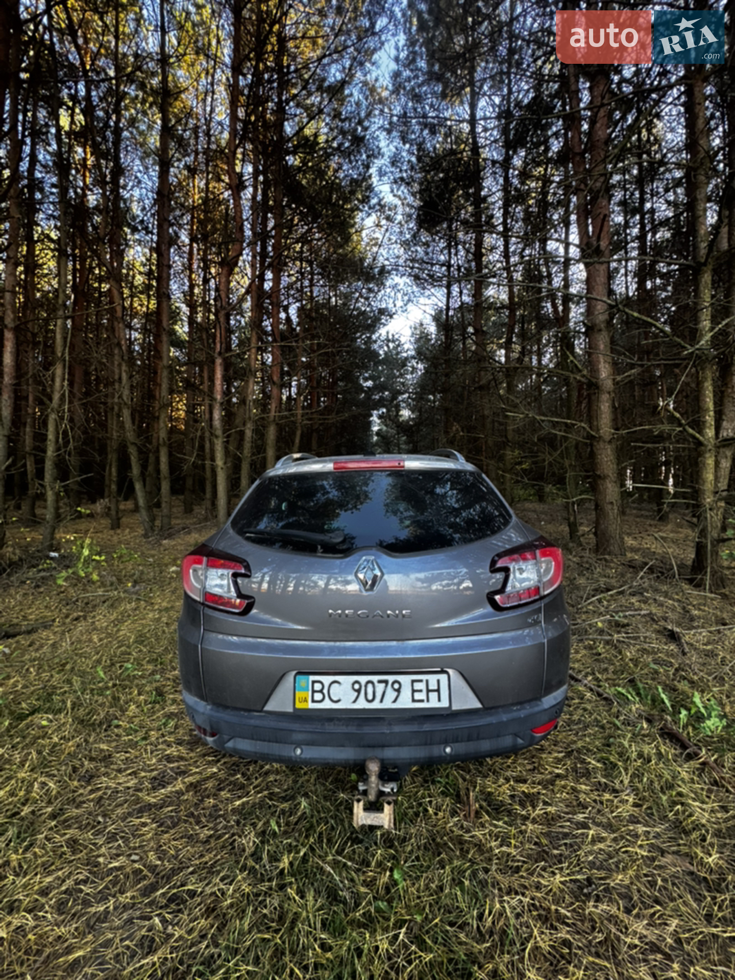 2010 Renault Megane - мініатюра 5