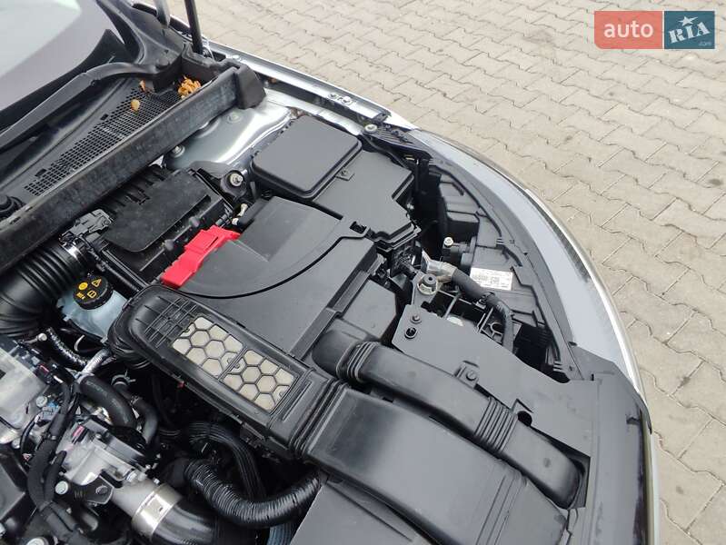 Универсал Renault Megane 2021 в Днепре фото 51 Универсал Renault Megane 2021 в Днепре