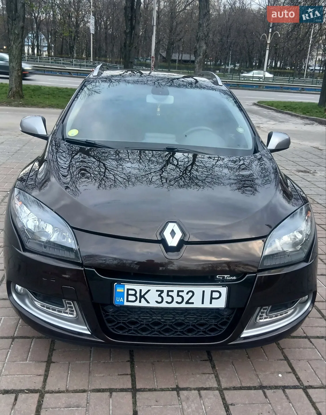 2013 Renault Megane - фото 1