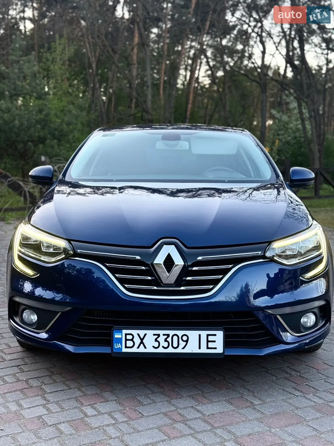 2017 Renault Megane - мініатюра 3
