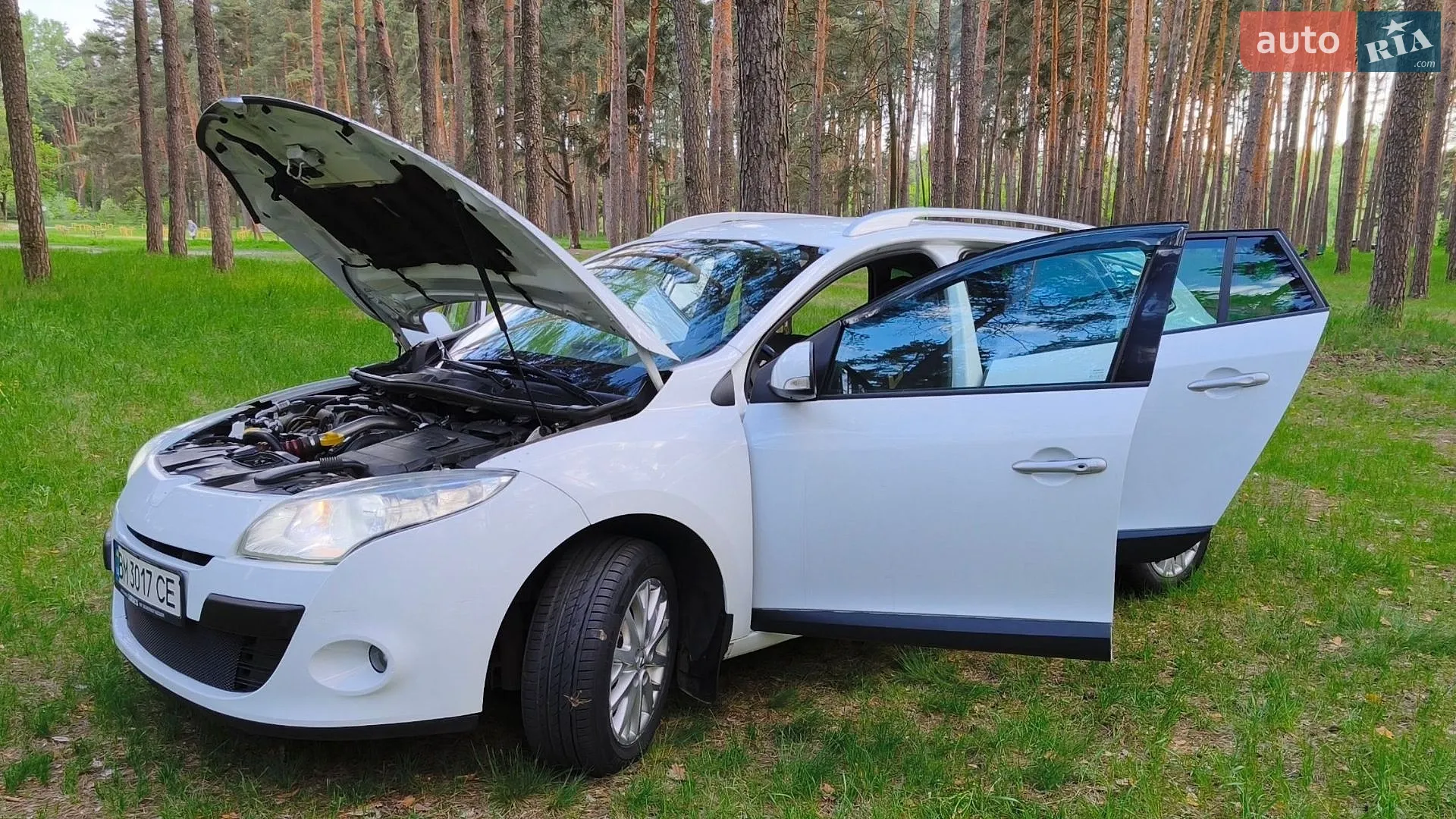 2011 Renault Megane - мініатюра 13