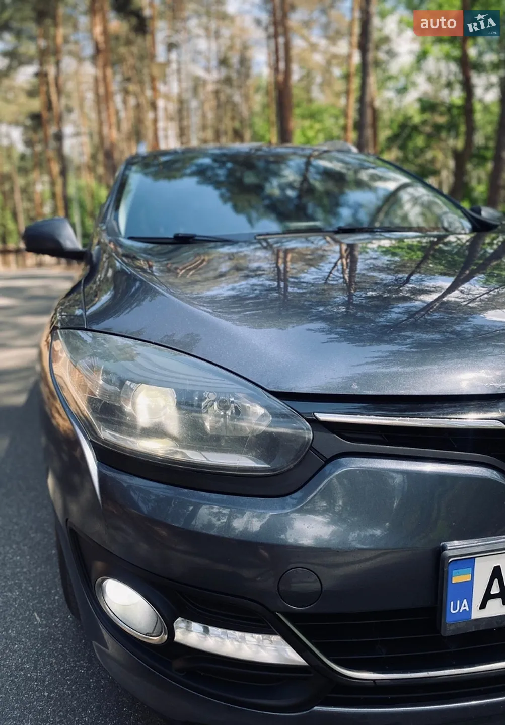 2016 Renault Megane - мініатюра 2