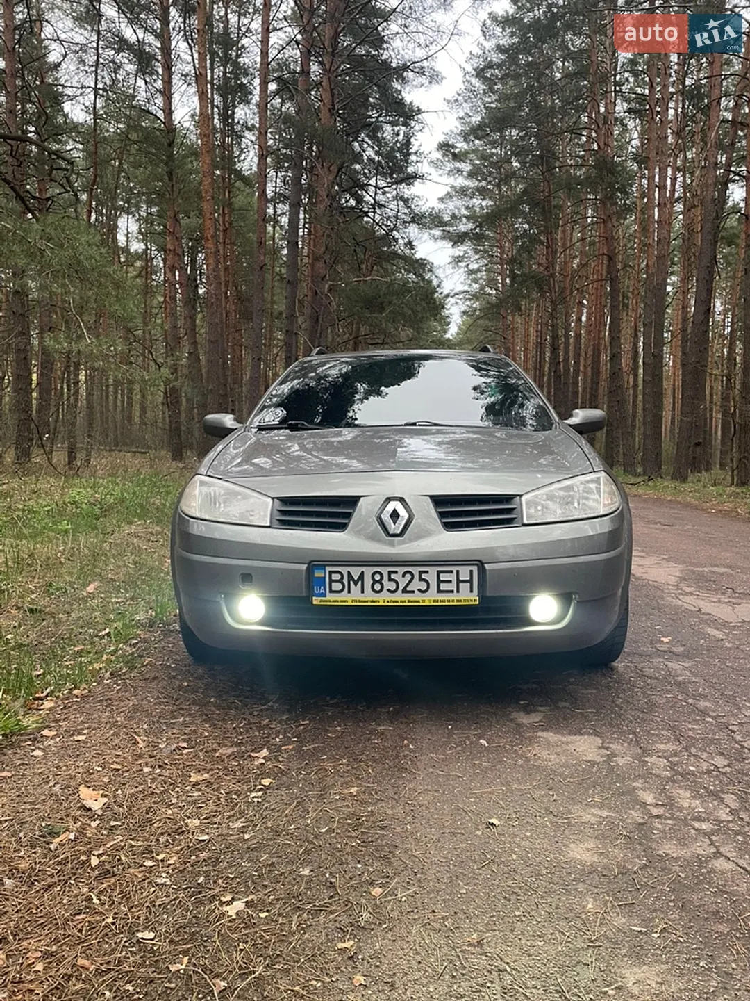 Renault Megane 2004 VIN VF1KM0J0H32775443 фото оголошення 7 з 9