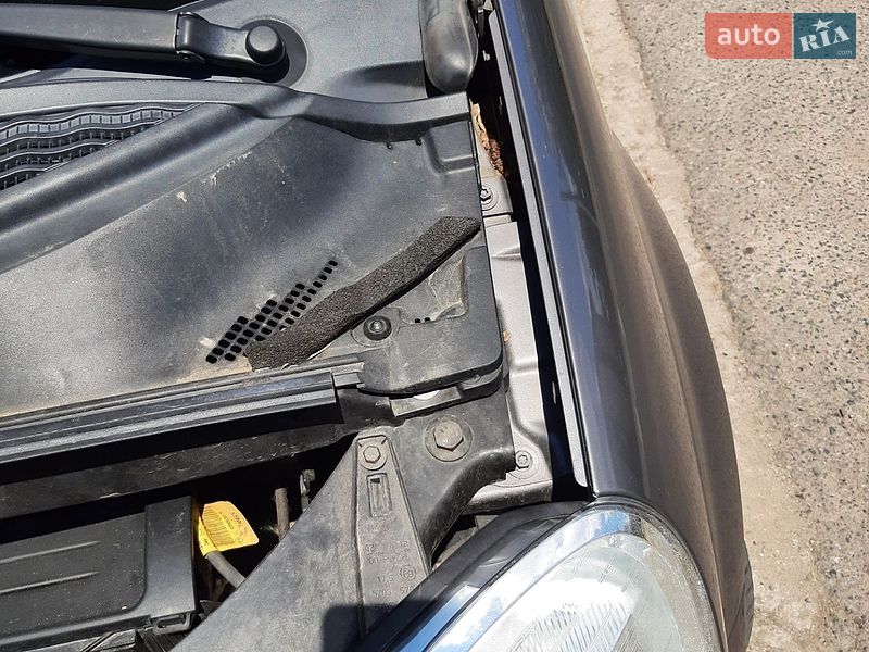 Хэтчбек Renault Modus 2009 в Николаеве