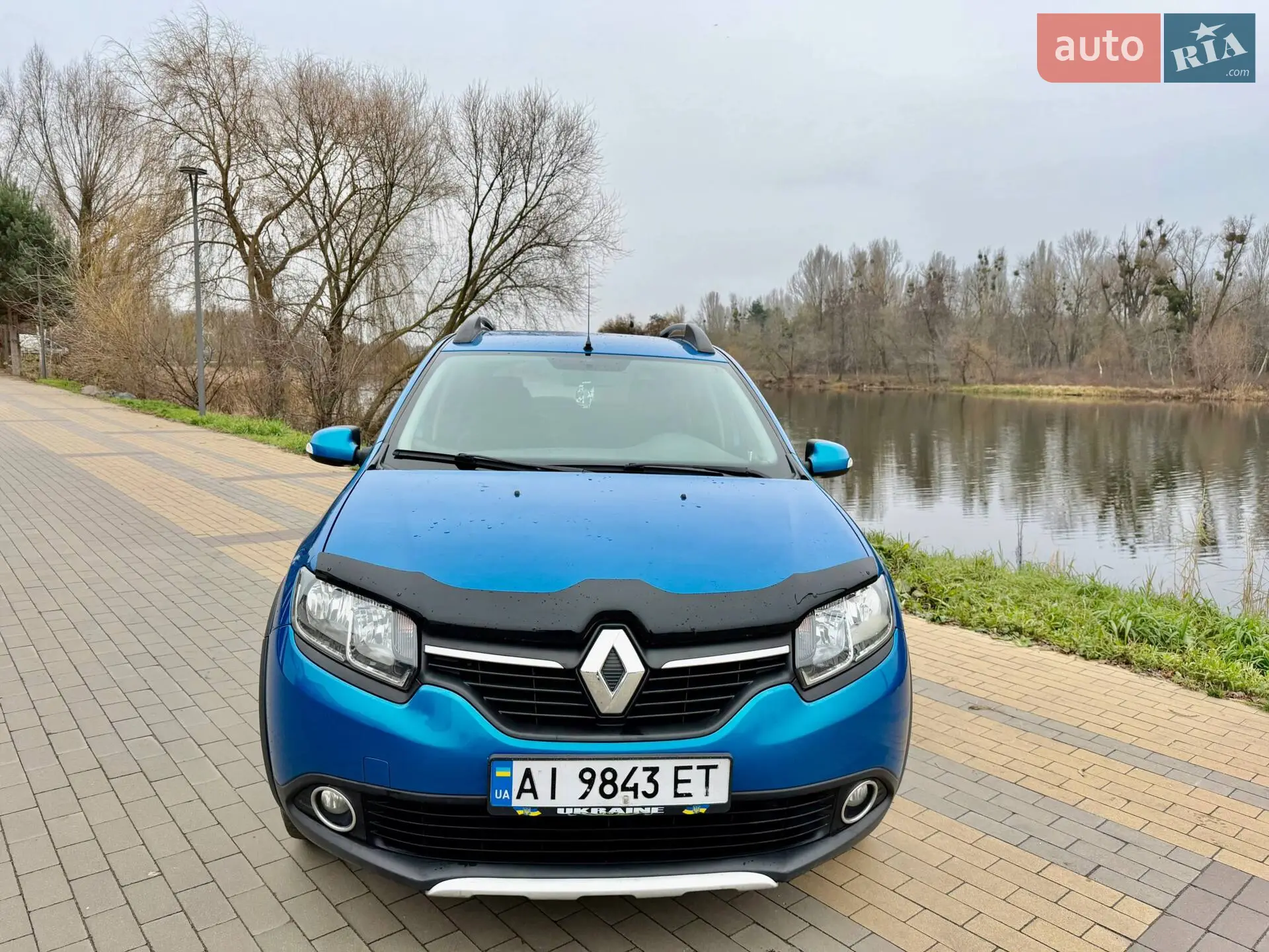 2014 Renault Sandero - мініатюра 2
