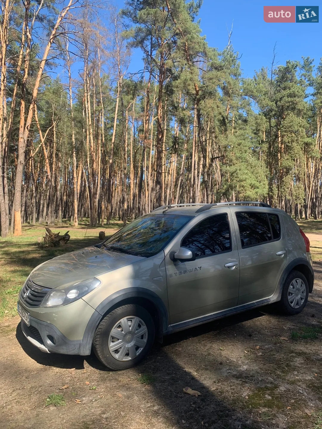 2012 Renault Sandero - фото 1