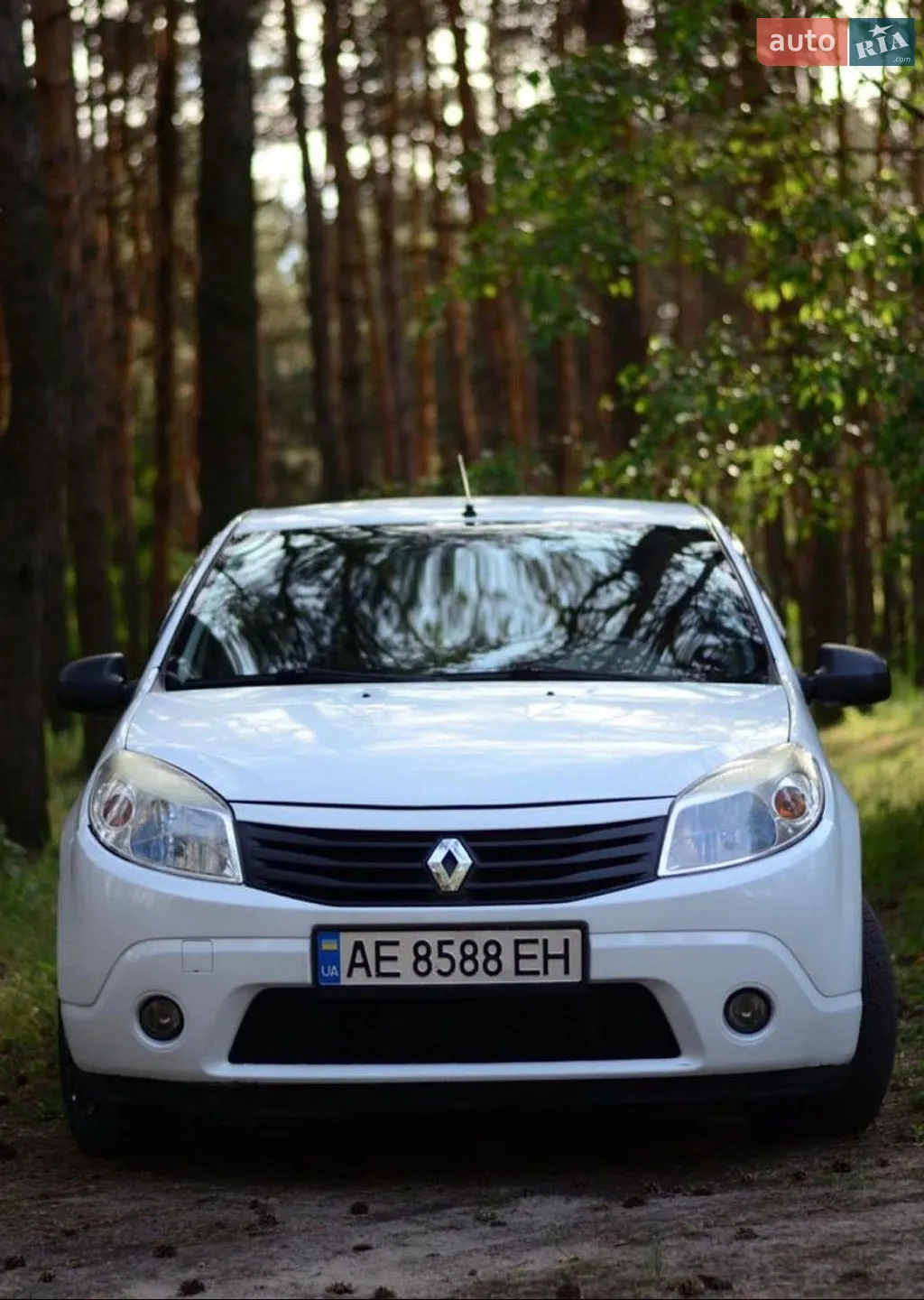 2010 Renault Sandero - мініатюра 2