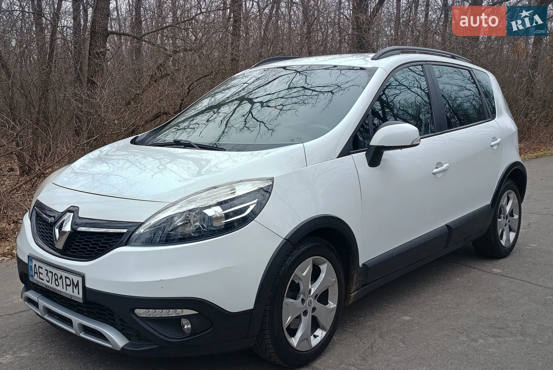 2013 Renault Scenic - мініатюра 2