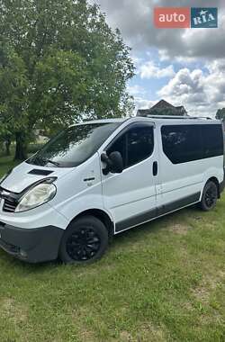 Минивэн Renault Trafic 2011 в Старой Синяве
