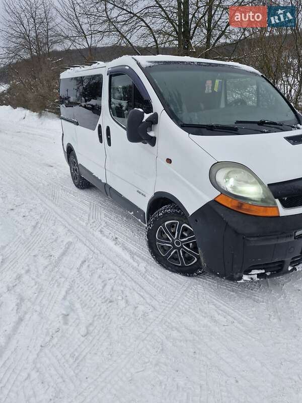 Минивэн Renault Trafic 2004 в Бережанах