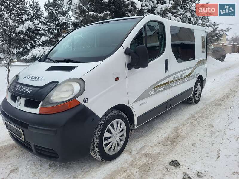 Минивэн Renault Trafic 2006 в Хмельницком