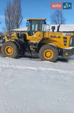 Фронтальный погрузчик SDLG L 956FH 2020 в Киеве