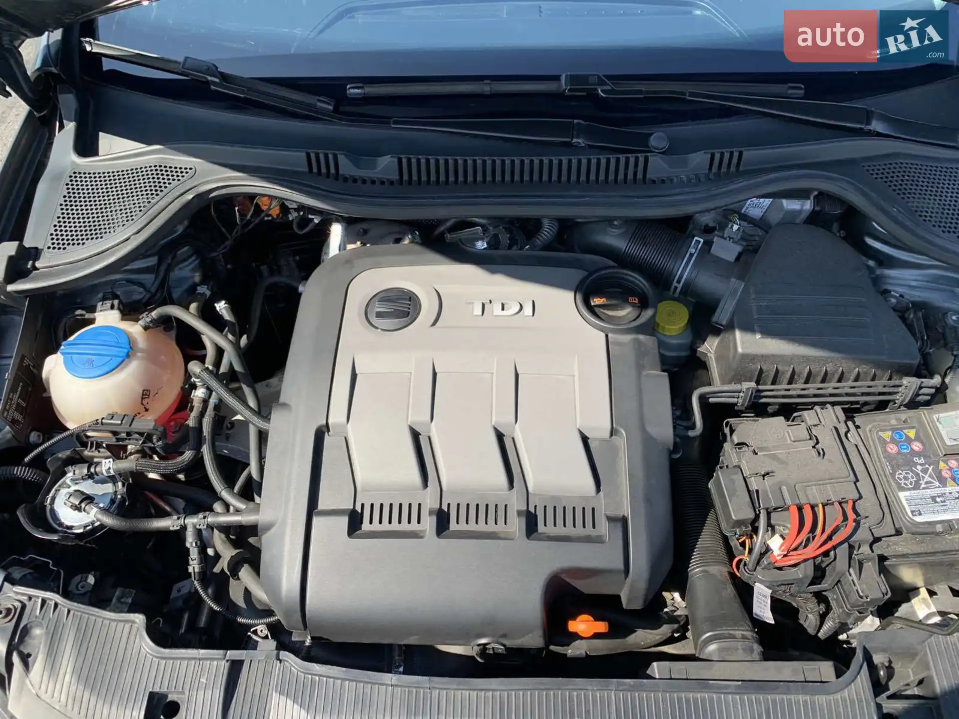 2012 SEAT Ibiza - мініатюра 4