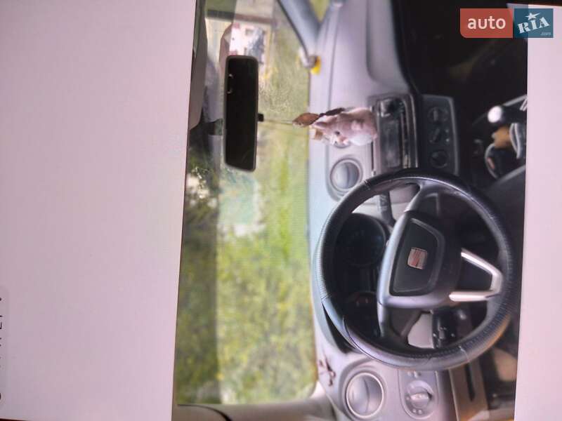 Хэтчбек SEAT Ibiza 2010 в Перечине