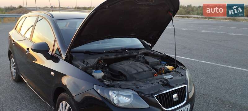 Хетчбек SEAT Ibiza 2010 в Петриківці