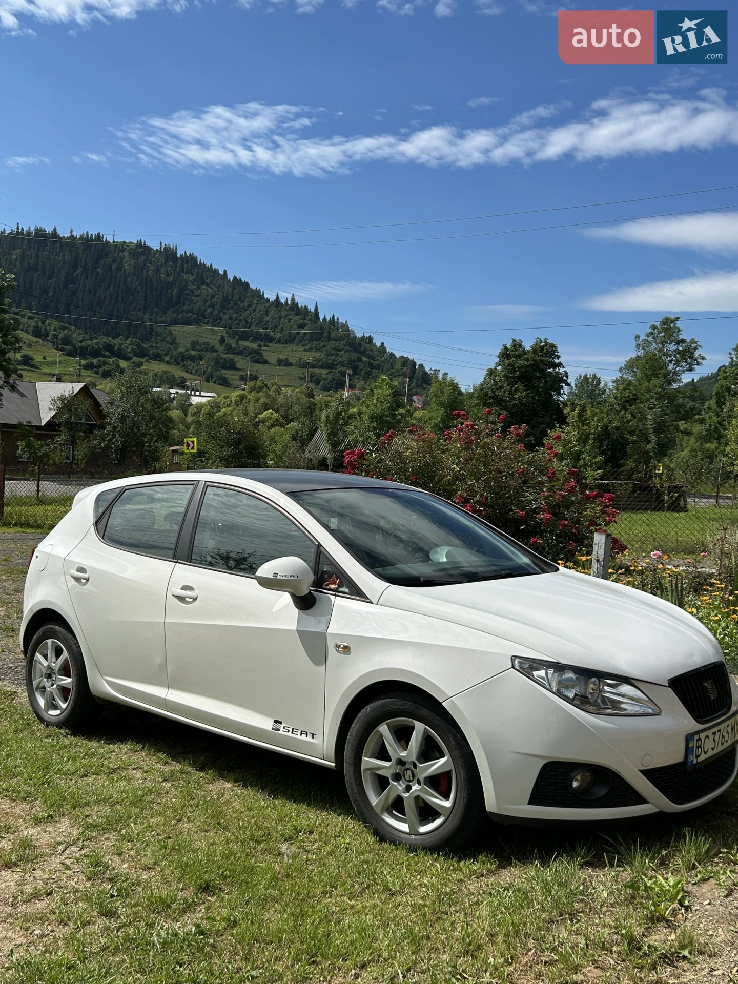 2011 SEAT Ibiza - мініатюра 4