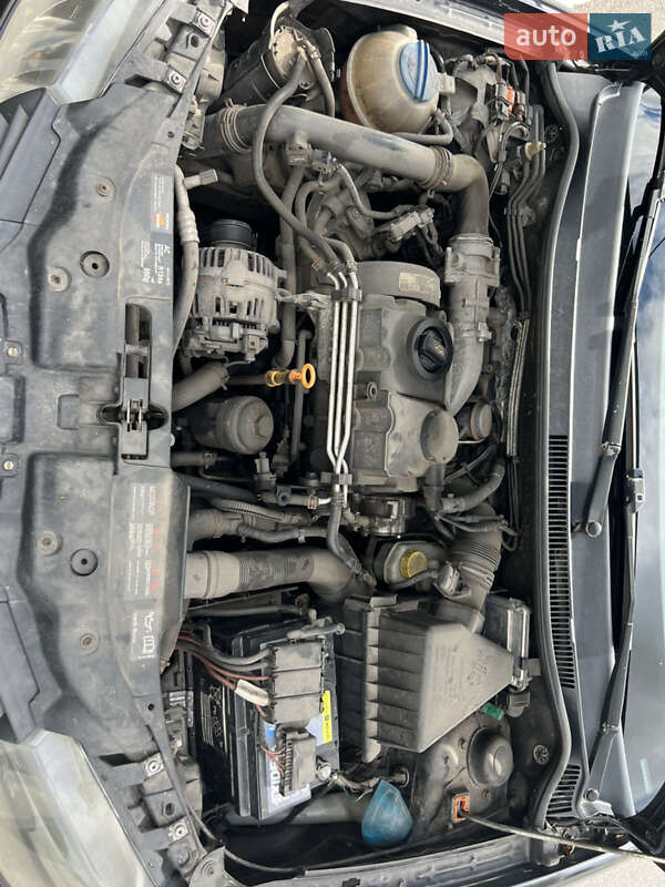 Хэтчбек SEAT Ibiza 2007 в Житомире фото 19 Хэтчбек SEAT Ibiza 2007 в Житомире