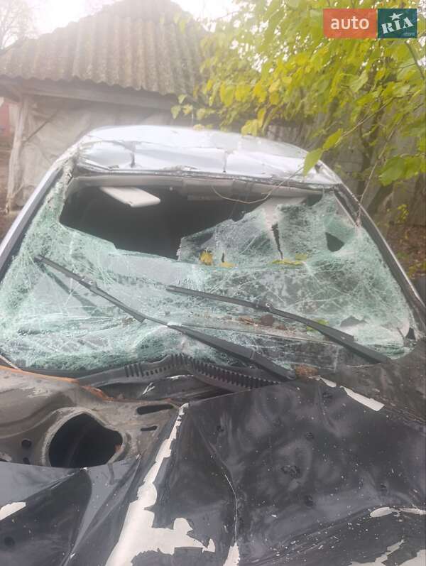 SEAT Ibiza 2010 SEAT Ibiza 2010